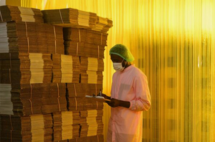 government-public government-public